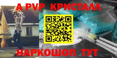 гашик Гатчина