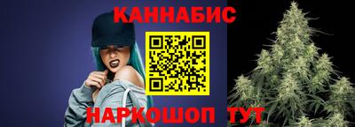 гашик Гатчина