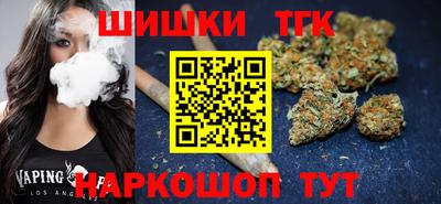 гашик Гатчина