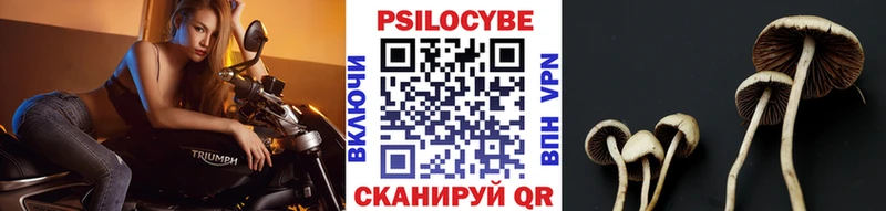 omg ТОР  Майский  Псилоцибиновые грибы мицелий 