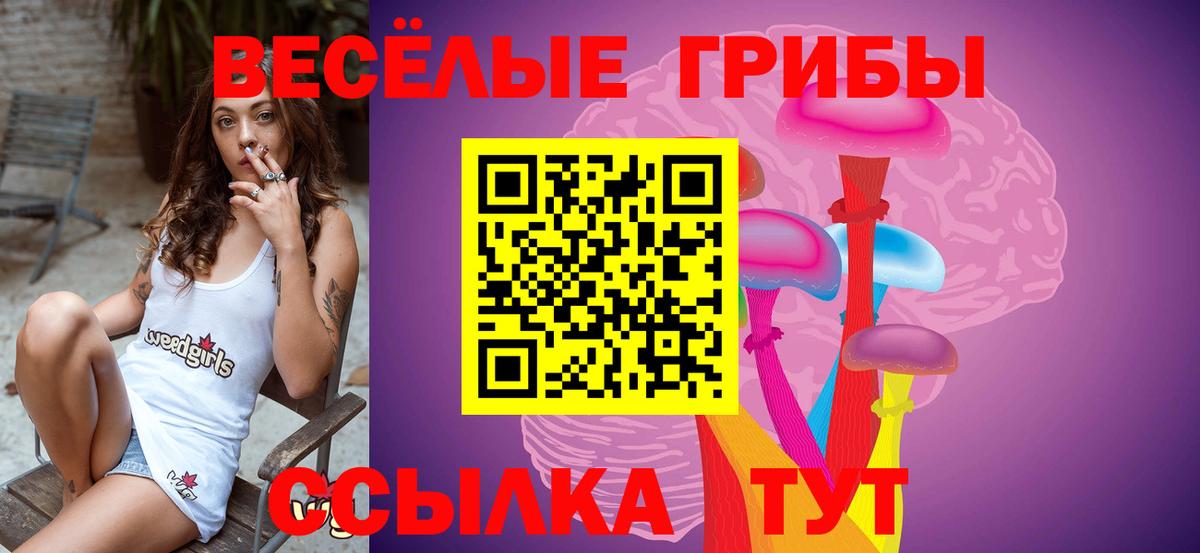 Майский  Галлюциногенные грибы мицелий  Галлюциногенные грибы Psilocybine cubensis  Вход с VPN 