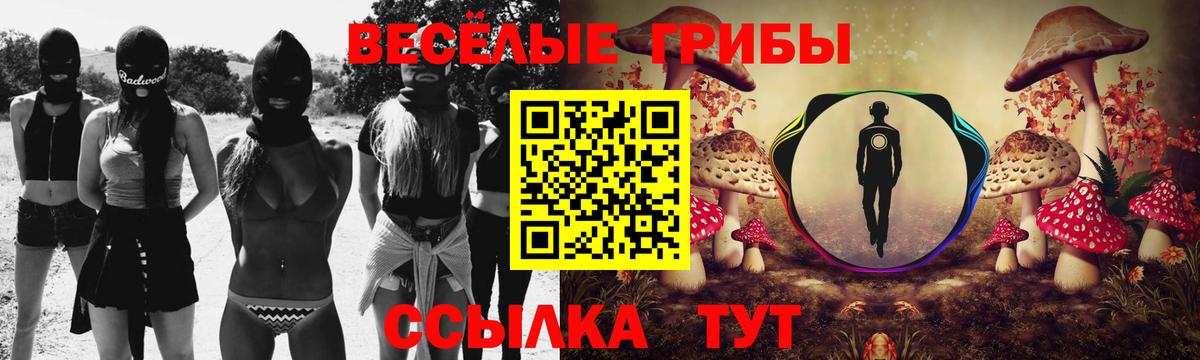 Псилоцибиновые грибы GOLDEN TEACHER Майский